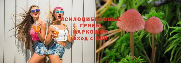 прущая мука Няндома