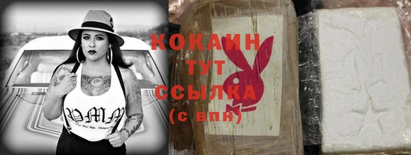 прущая мука Няндома