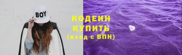 прущая мука Няндома