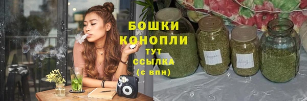 сатива Нязепетровск